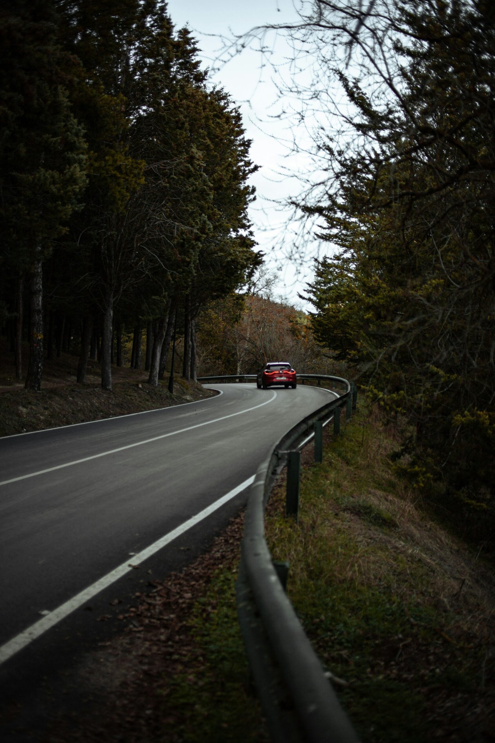 The Best Road Trips in Australia